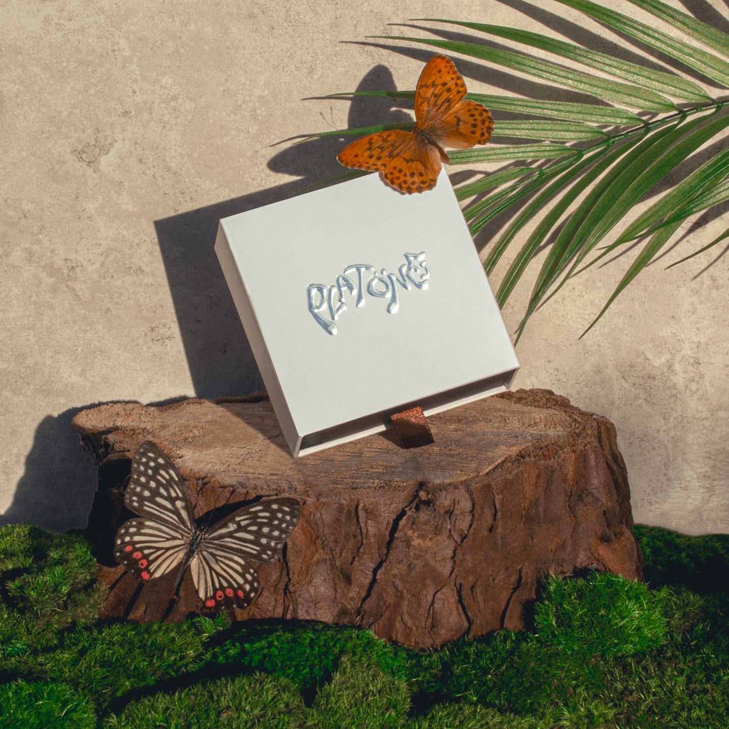 Custom 'Light Fantasy' Rapheal Necklace Pet Set for Cats