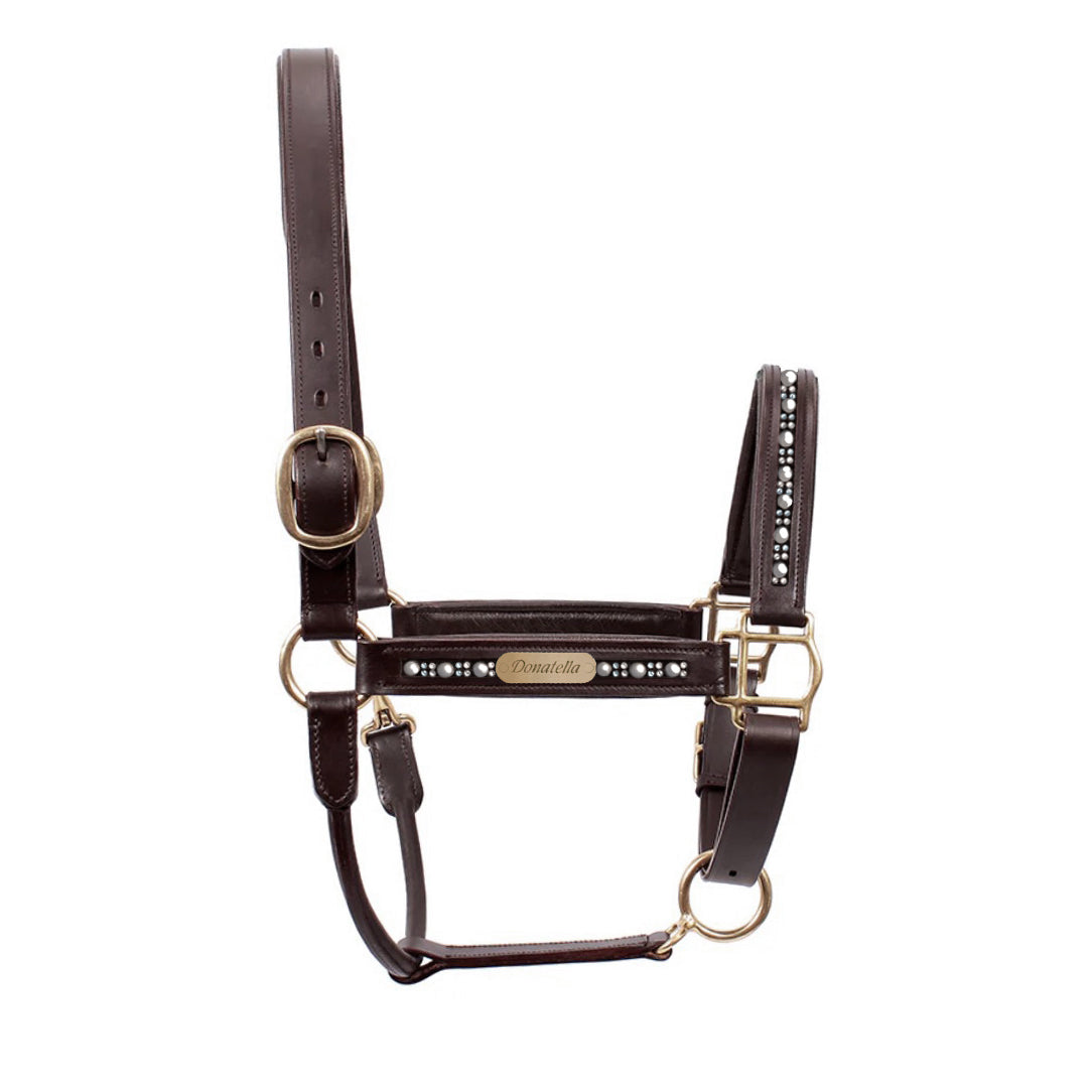 Custom 'Raphael’ Horse Headcollar